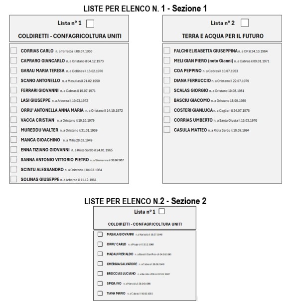 ELEZIONI PER IL RINNOVO DEL CONSIGLIO DEI DELEGATI 2025/2030 - SI VOTA DOMENICA 23 FEBBRAIO 2025 DALLE ORE 07:00 ALLE ORE 22:00