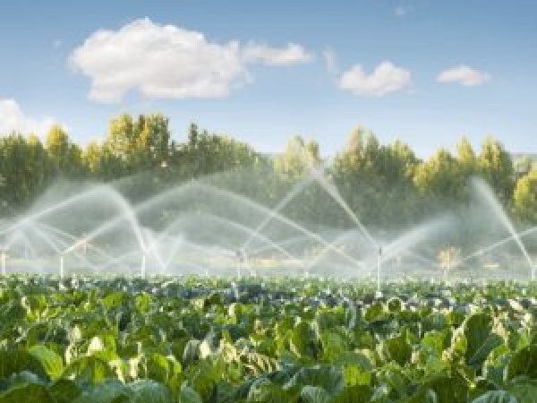IRRIGAZIONE NEL COMPRENSORIO SUD E NORD COMUNICATO ORARI E TURNI 14 – 20 aprile 2025
