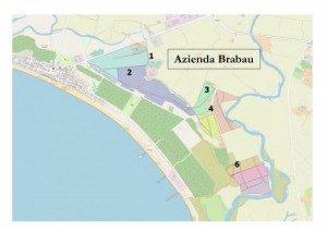 Procedura di assegnazione temporanea in affitto - terreni agricoli in località “Brabau”. Anno 2022