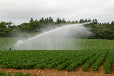 IRRIGAZIONE NEL COMPRENSORIO SUD E NORD COMUNICATO ORARI E TURNI giornate 8 – 12 aprile 2024