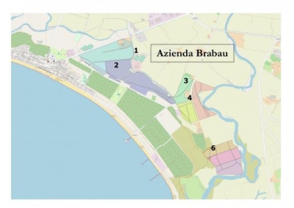 ASSEGNAZIONE TEMPORANEA DI TERRENI AGRICOLI CONSORTILI IN LOCALITA’ “BRABAU” (COMUNE DI ORISTANO). BIENNIO 2025/2026