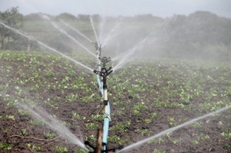 Lavori manutenzione straordinaria impianti di irrigazione. Carrus: “ Interventi importanti per migliorare e proseguire al meglio il servizio di irrigazione”