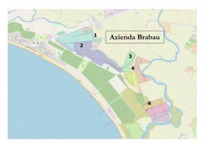 ASSEGNAZIONE TEMPORANEA DI TERRENI AGRICOLI CONSORTILI IN LOCALITA’ “BRABAU” - BIENNIO 2025/2026. APERTURA BUSTE CONTENENTI OFFERTE