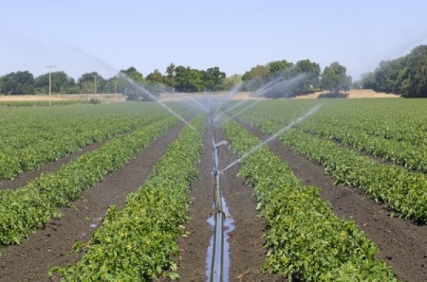 IRRIGAZIONE NEL COMPRENSORIO - ORARI E TURNI - Settimana 10 – 15/aprile