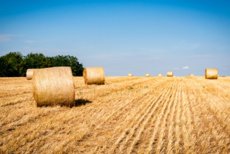 FESTIVITA’ DI FERRAGOSTO SOSPENSIONE DELL’EROGAZIONE IL GIORNO 15 AGOSTO