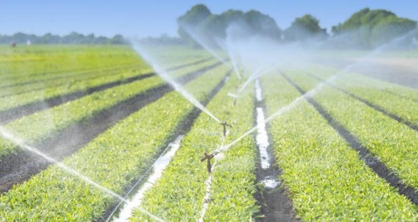 IRRIGAZIONE NEL COMPRENSORIO - COMUNICATO ORARI E TURNI  -  dal 16 al 21 maggio c.a.