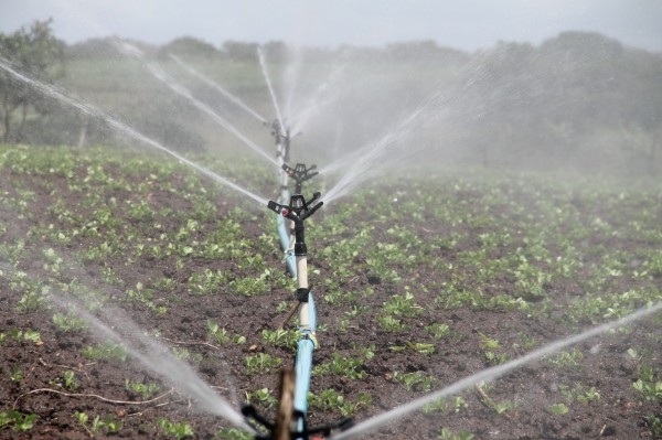 Irrigazione - Variazione orari